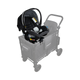 W2 Elite | Luxe / Graco
