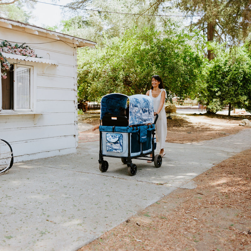 Landscape with Houses