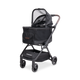 Graphite Black